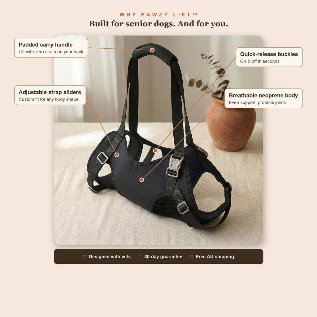 Pawzy Lift key features — padded handle, sliders, buckles, neoprene body