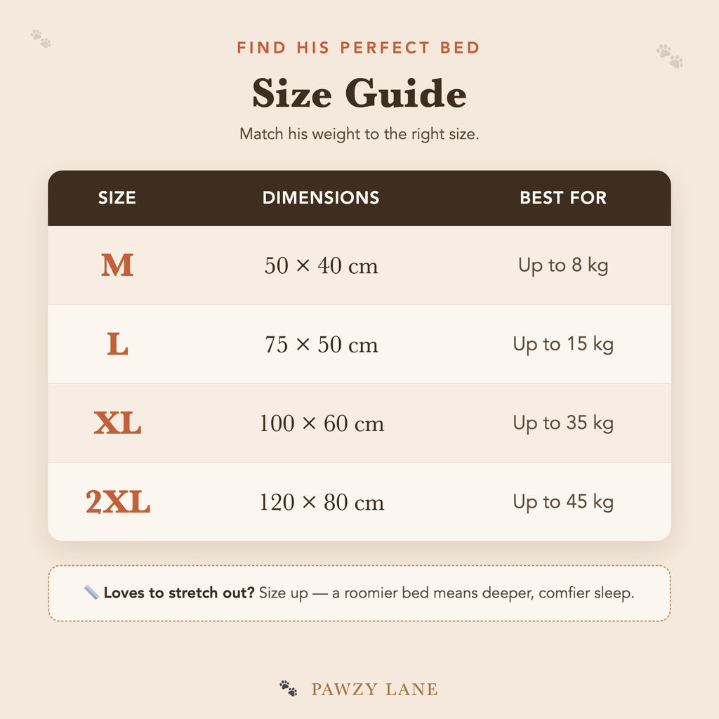 Pawzy Cloud Bed size guide — M, L, XL, 2XL by dimensions and dog weight
