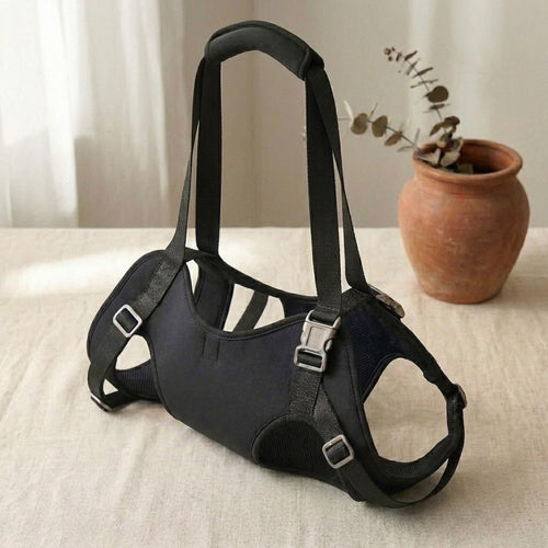 Pawzy Lift senior dog support harness — product view